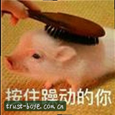 User